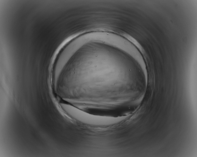 X0000083041144200703022043