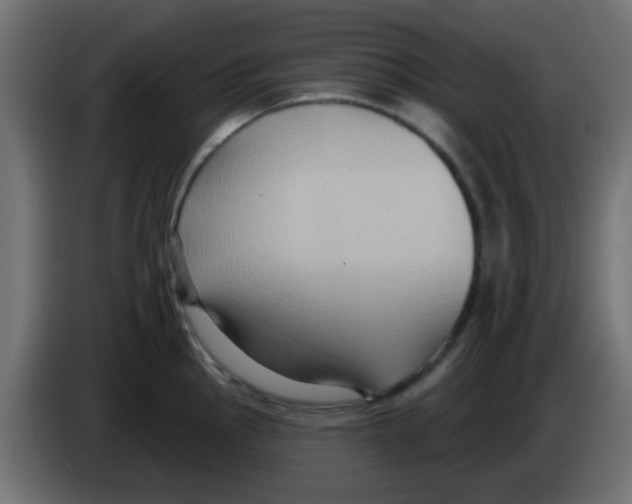 X0000083041145200703022043