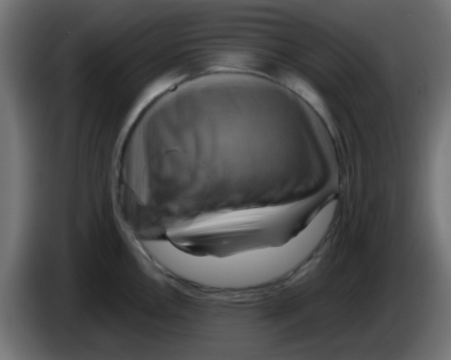 X0000083041146200703022043