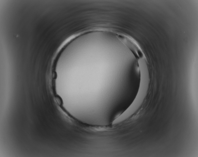 X0000083041147200703022043