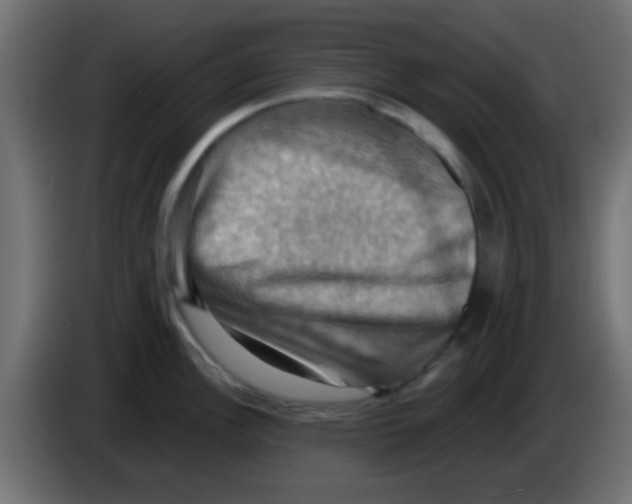 X0000083041148200703022043