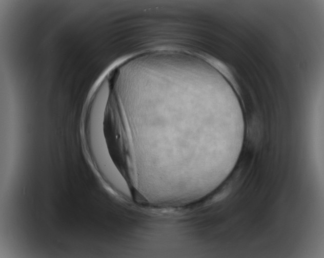 X0000083041149200703022043