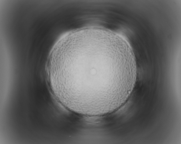 X0000083041150200703022043