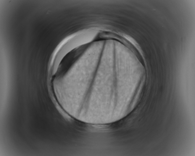 X0000083041152200703022043