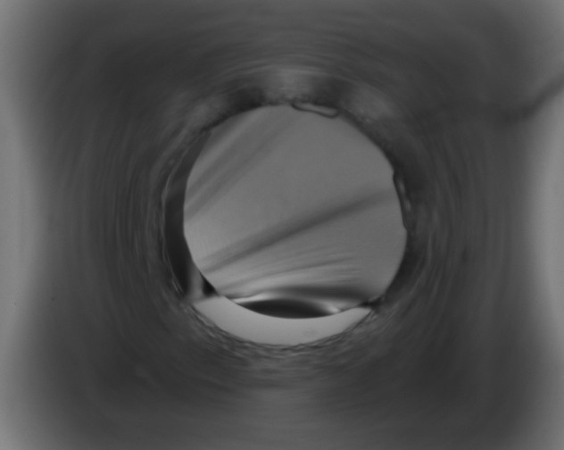 X0000083041153200703022042