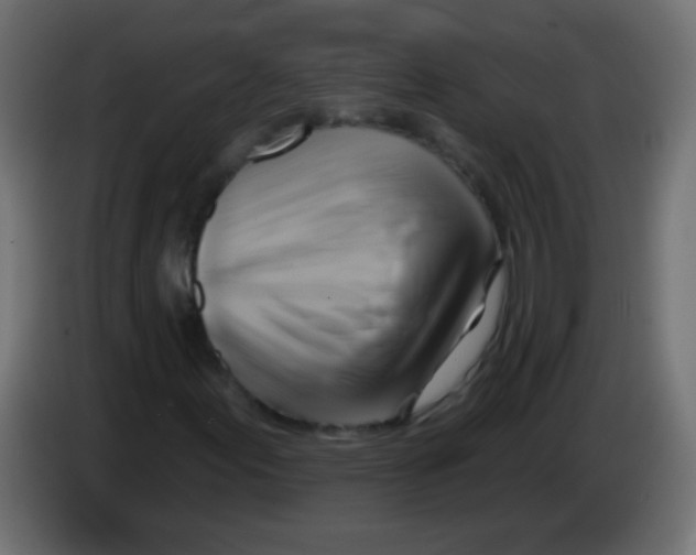 X0000083041155200703022042