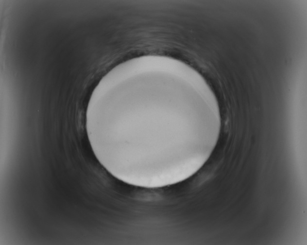 X0000083041156200703022042