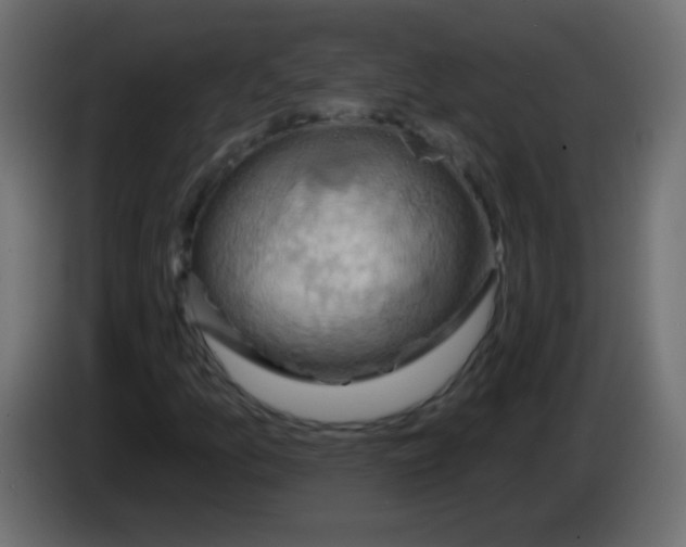 X0000083041157200703022042