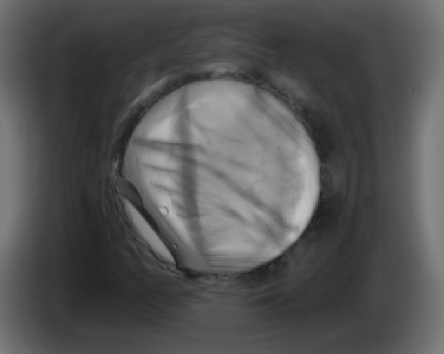 X0000083041158200703022042