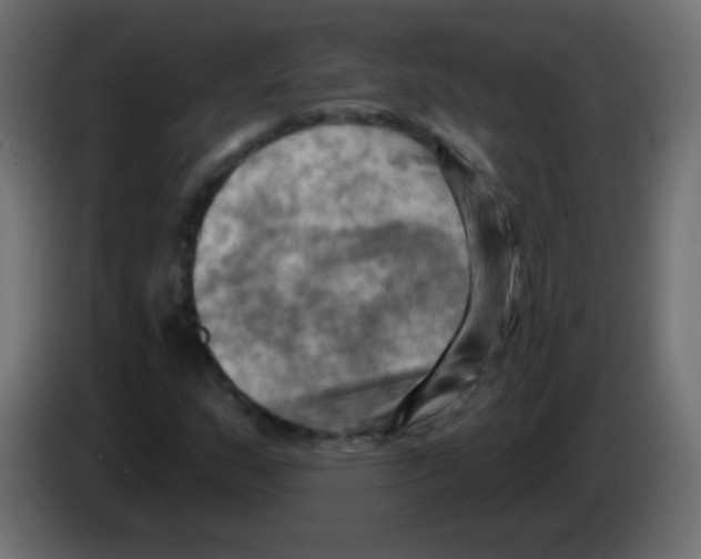X0000083041159200703022042