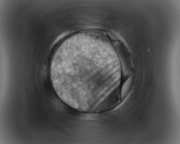 X0000083041163200703022042
