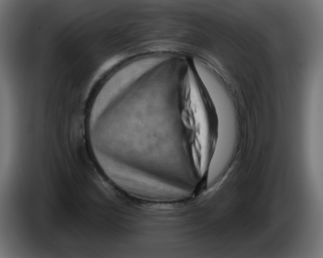 X0000083041164200703022042