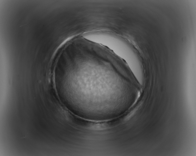 X0000083041165200703022042