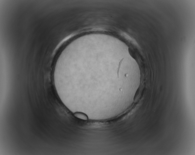 X0000083041166200703022042