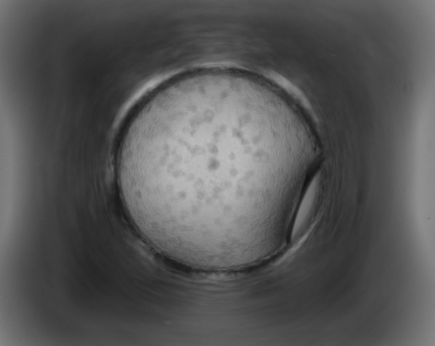 X0000083041167200703022042