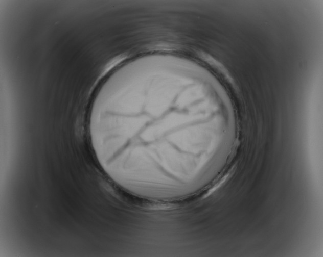 X0000083041170200703022042