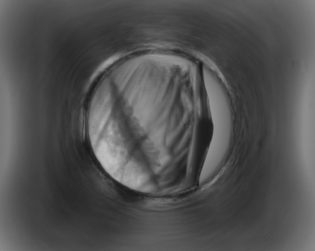 X0000083041171200703022042