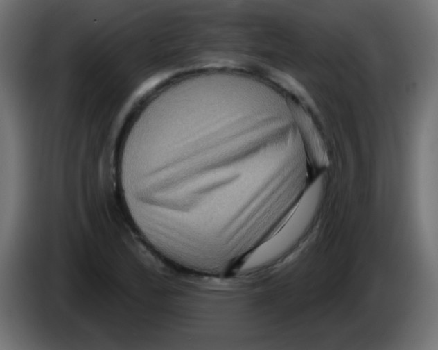 X0000083041172200703022042