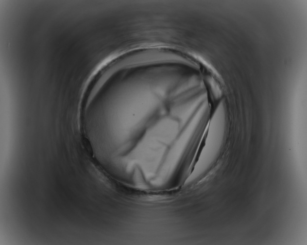X0000083041173200703022042