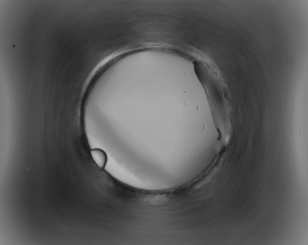 X0000083041174200703022042