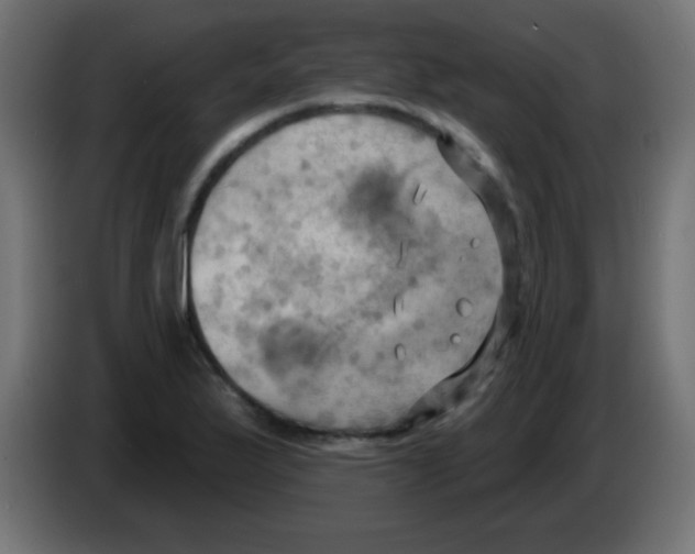 X0000083041175200703022042