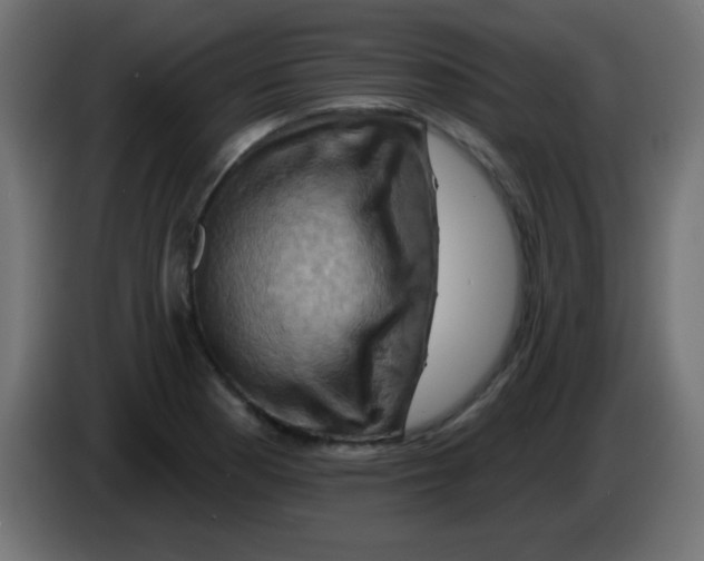 X0000083041177200703022042