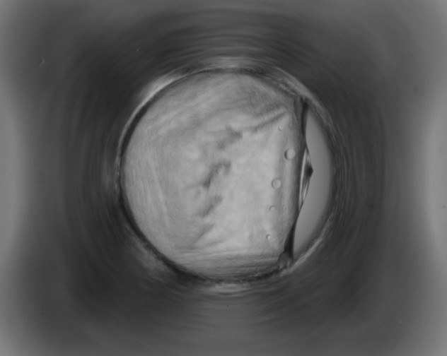 X0000083041178200703022042