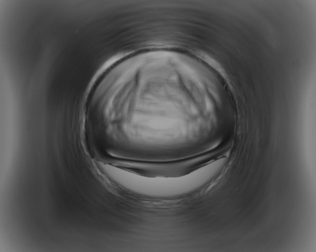 X0000083041179200703022042