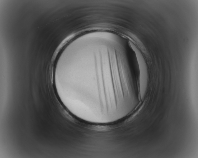 X0000083041180200703022042