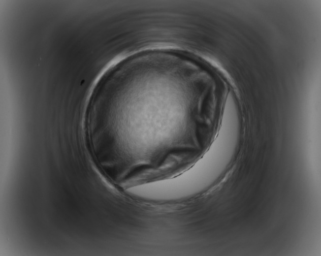 X0000083041181200703022042