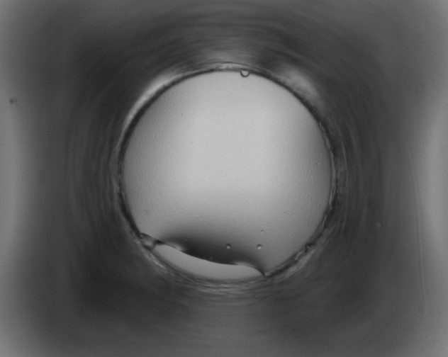X0000083041182200703022042