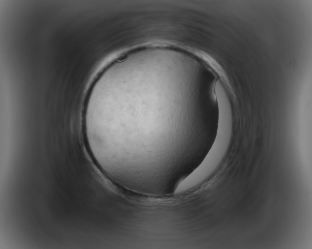 X0000083041183200703022042