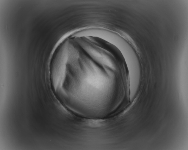 X0000083041184200703022042
