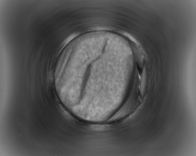 X0000083041185200703022042
