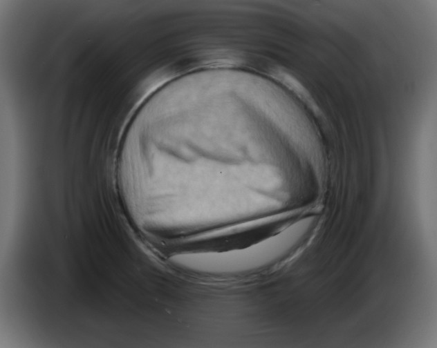 X0000083041186200703022042
