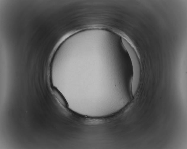 X0000083041187200703022042