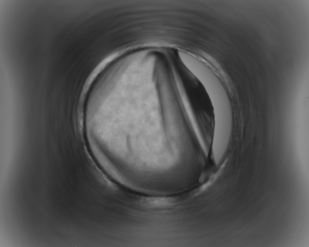 X0000083041188200703022042