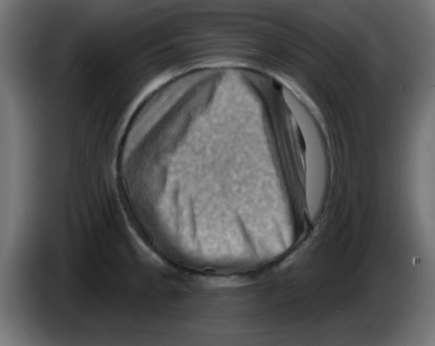 X0000083041189200703022042