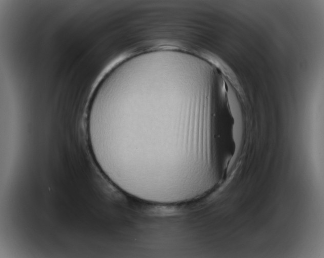X0000083041190200703022042