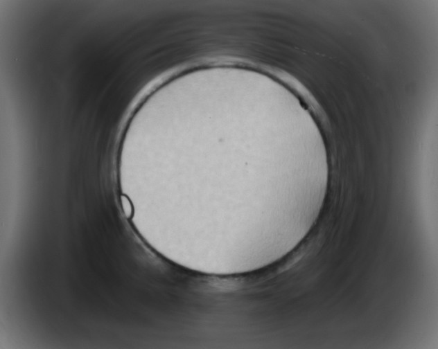 X0000083041191200703022042