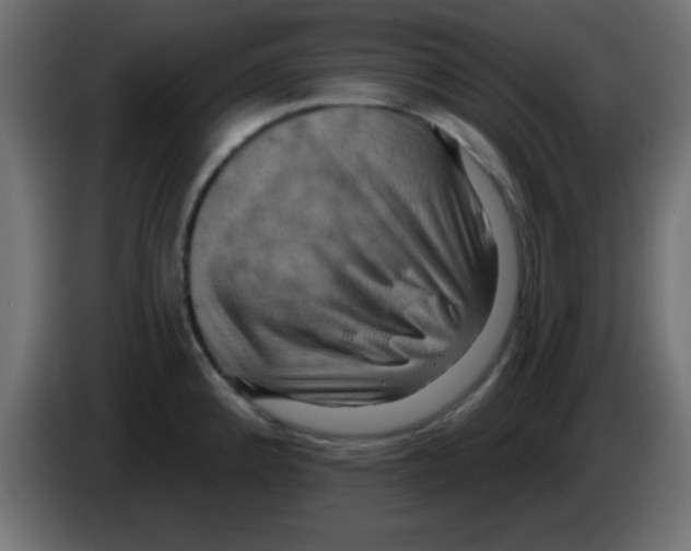 X0000083041192200703022042