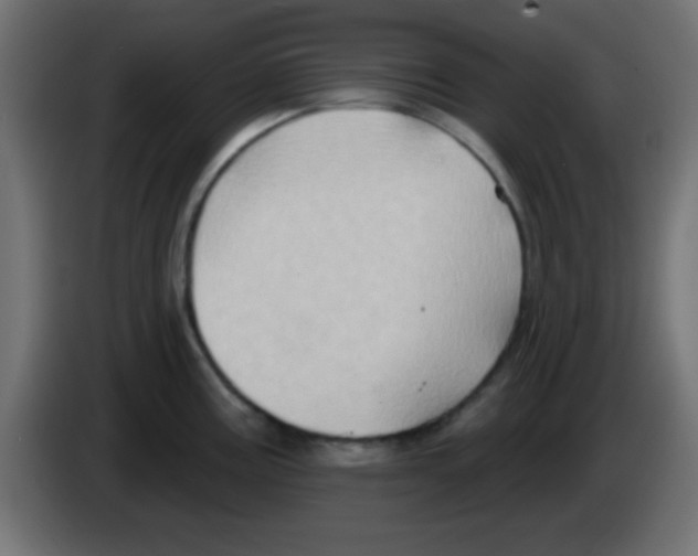 X0000083041195200703022042