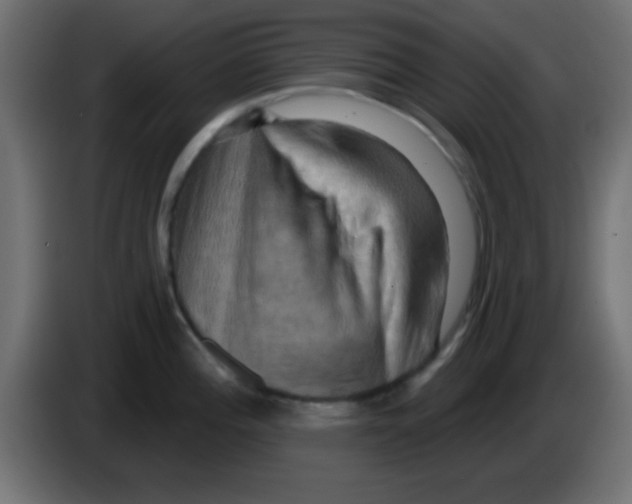 X0000083041196200703022042