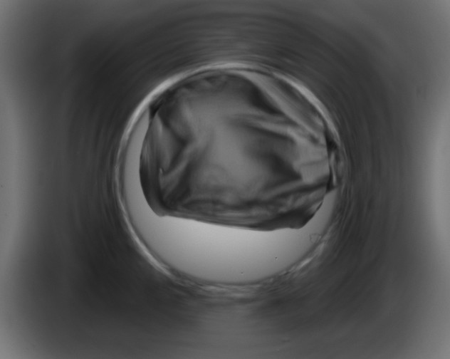 X0000083041197200703022042