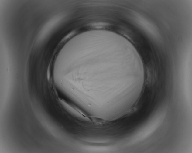 X0000083041198200703022042