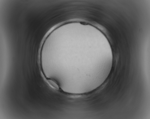 X0000083041199200703022042