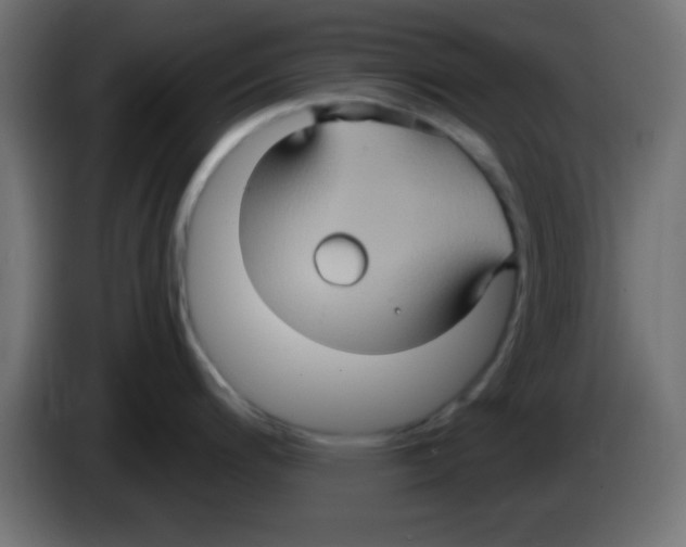 X0000083041200200703022042