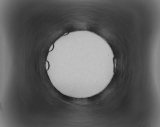 X0000083041201200703022041