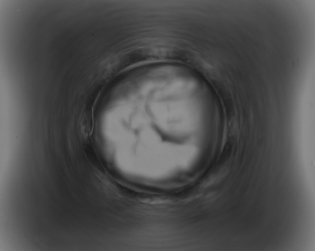 X0000083041202200703022041