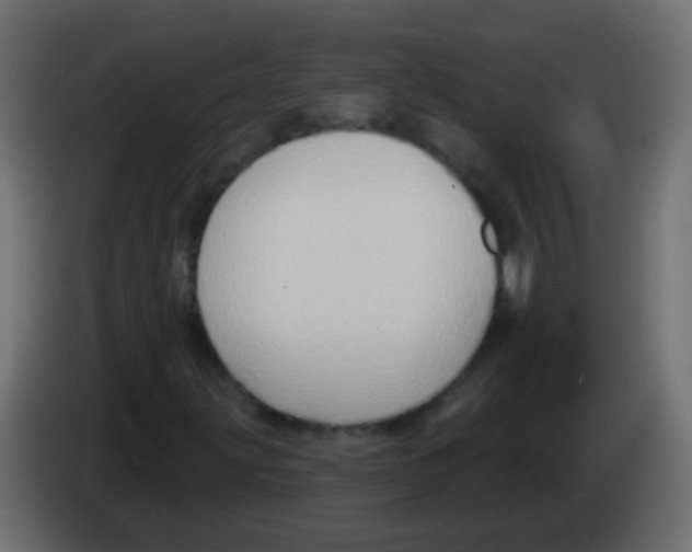 X0000083041203200703022041